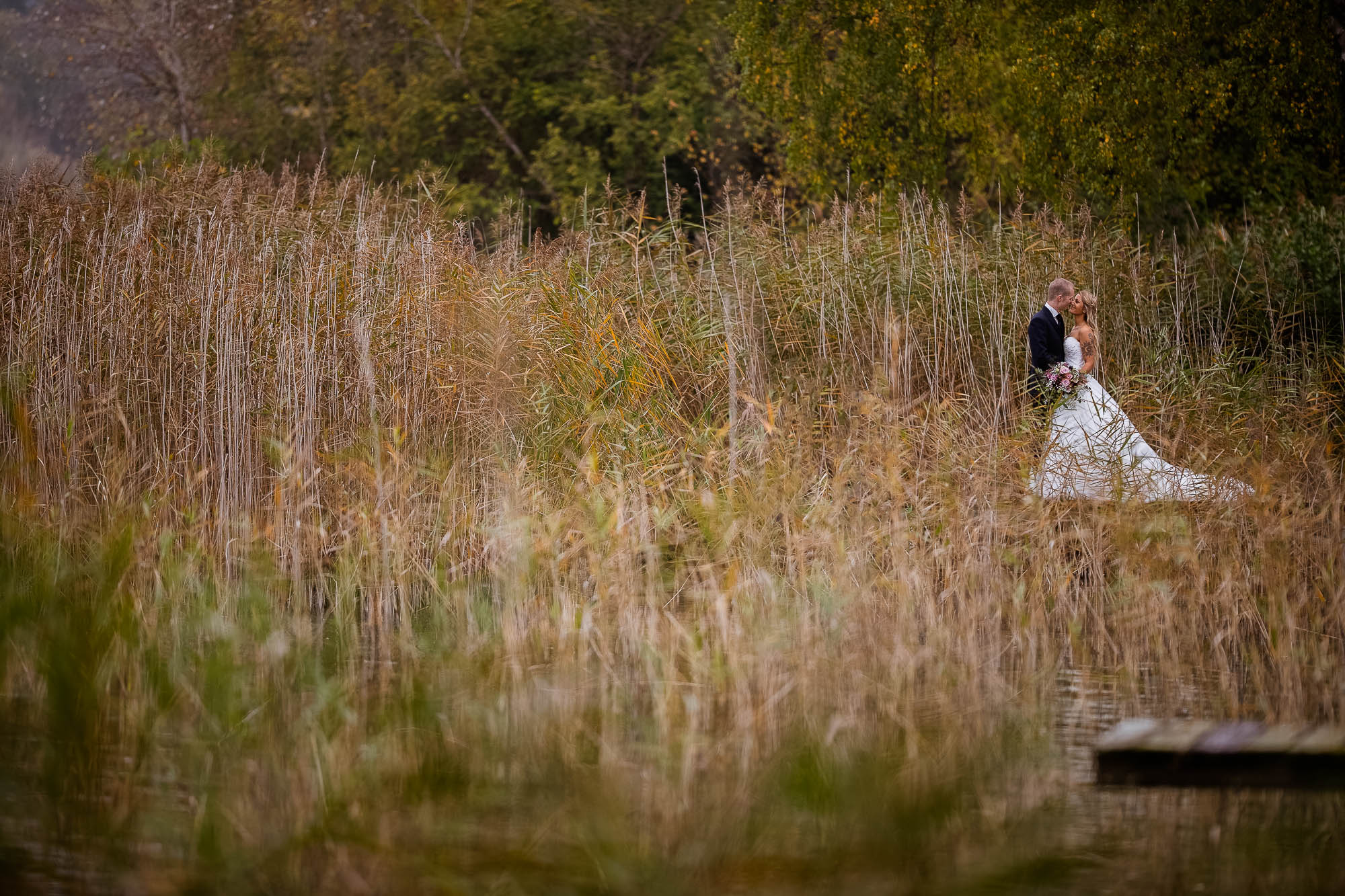 Export x3 1DX26043 Bearbeitet Hochzeit 2019 Tatjana und Hermann